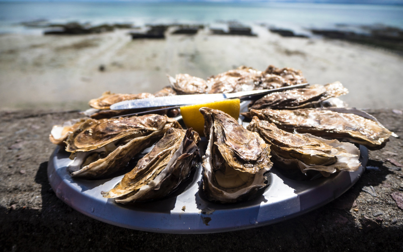 Pacific cupped oysters