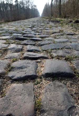 The cobblestones of the Arenberg forest in Paris-Roubaix