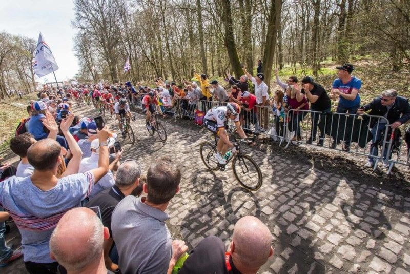 Ronde van Vlaanderen and Paris-Roubaix
